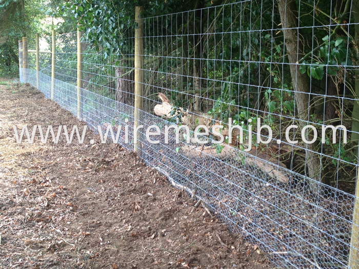 High Tensile Sheep Fence